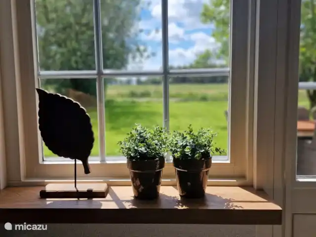 Zicht vanuit de woonkamer